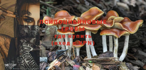 ГАЛЛЮЦИНОГЕННЫЕ ГРИБЫ Мегион
