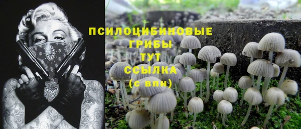мдпв Медногорск