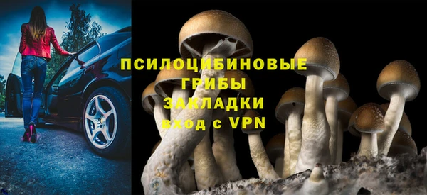 ALPHA PVP Медвежьегорск