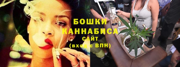 мдпв Медногорск