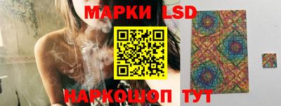 шишки Лесосибирск