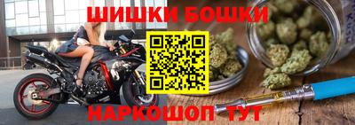 шишки Лесосибирск